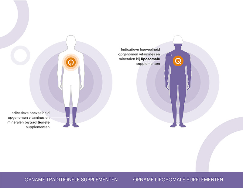 Blog Liposomale Suplementen DQA